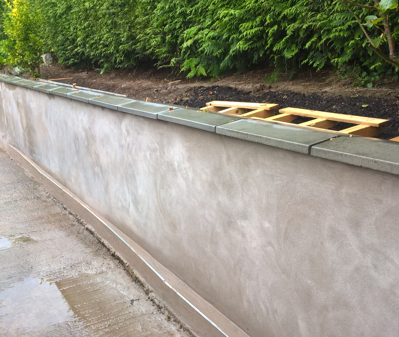 WP_20170519_09_52_29_Pro